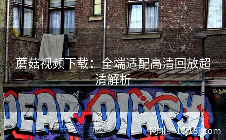 蘑菇视频下载：全端适配高清回放超清解析