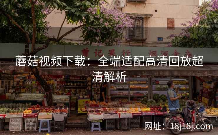 蘑菇视频下载：全端适配高清回放超清解析