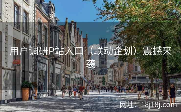 用户调研P站入口（联动企划）震撼来袭  第1张
