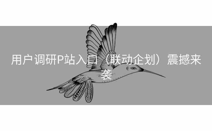 用户调研P站入口（联动企划）震撼来袭  第2张