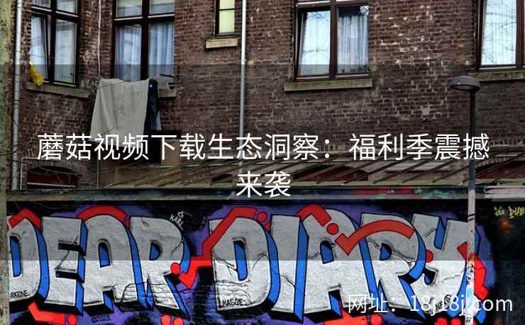 蘑菇视频下载生态洞察：福利季震撼来袭