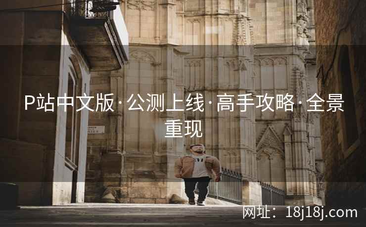 P站中文版·公测上线·高手攻略·全景重现