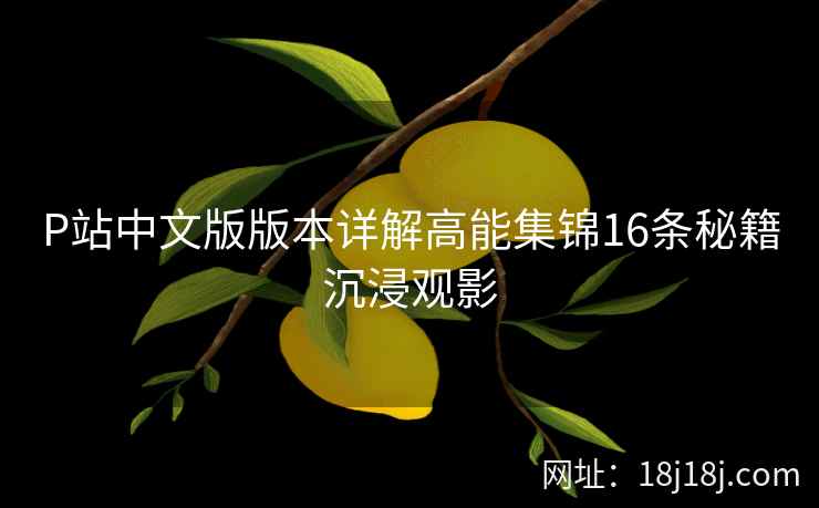 P站中文版版本详解高能集锦16条秘籍沉浸观影