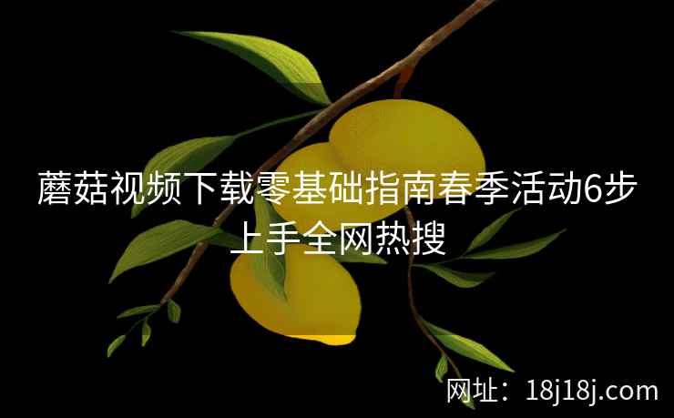 蘑菇视频下载零基础指南春季活动6步上手全网热搜