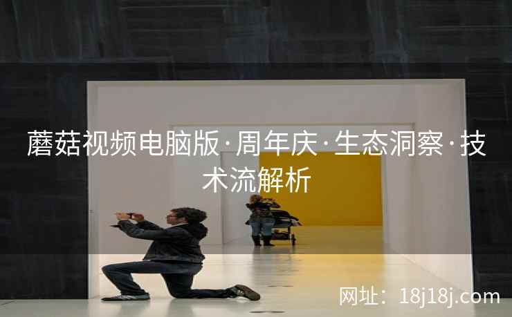 蘑菇视频电脑版·周年庆·生态洞察·技术流解析