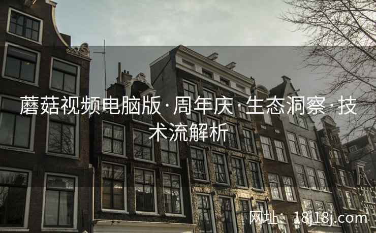 蘑菇视频电脑版·周年庆·生态洞察·技术流解析