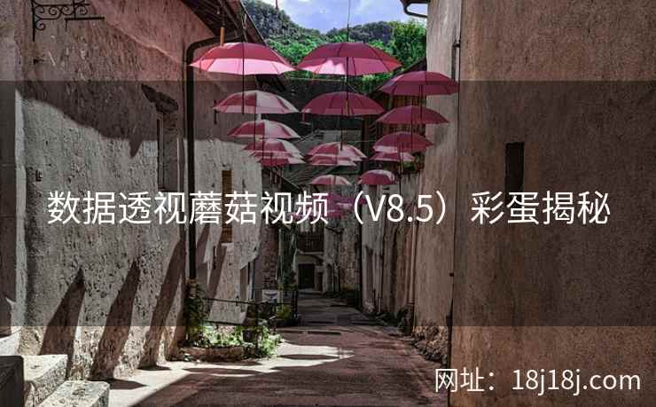 数据透视蘑菇视频（V8.5）彩蛋揭秘