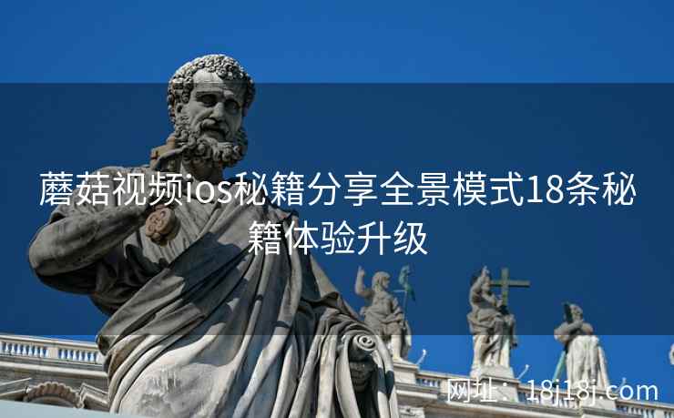 蘑菇视频ios秘籍分享全景模式18条秘籍体验升级