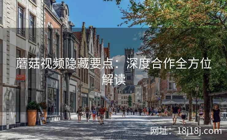 蘑菇视频隐藏要点：深度合作全方位解读