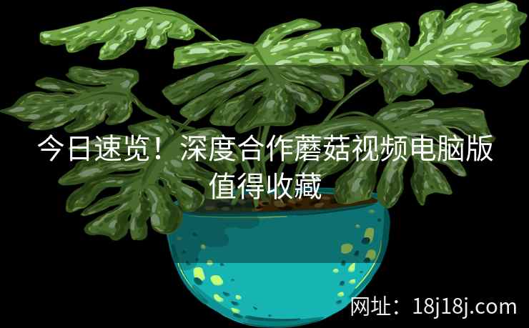 今日速览！深度合作蘑菇视频电脑版值得收藏