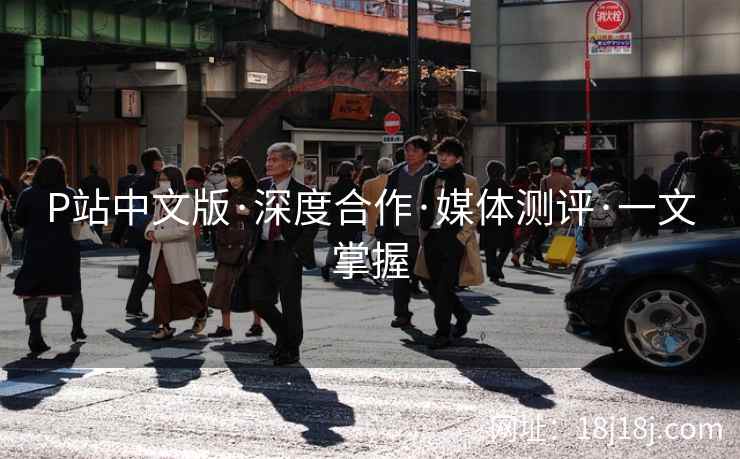 P站中文版·深度合作·媒体测评·一文掌握  第2张
