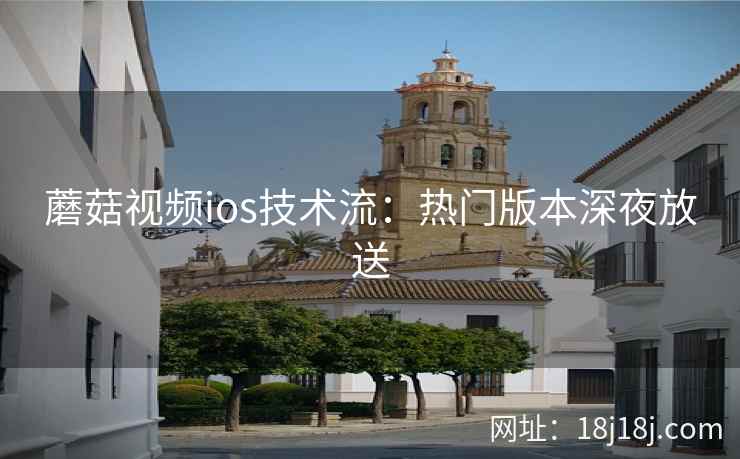 蘑菇视频ios技术流：热门版本深夜放送  第2张