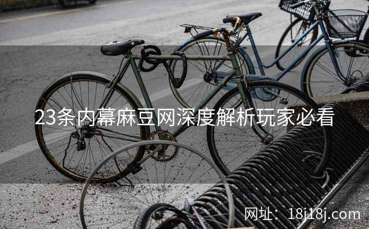 23条内幕麻豆网深度解析玩家必看
