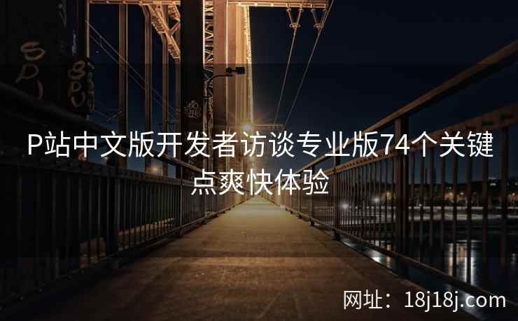 P站中文版开发者访谈专业版74个关键点爽快体验